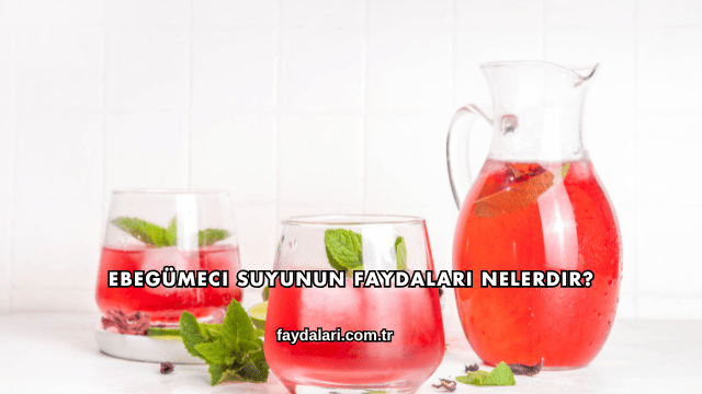 Ebegümeci Suyunun Faydaları Nelerdir?