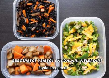 Ebegümeci Yemeği Faydaları Nelerdir?