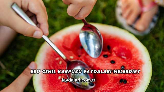 Ebu Cehil Karpuzu Faydaları Nelerdir?
