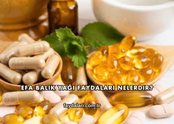 Efa Balık Yağı Faydaları Nelerdir?