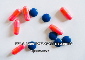 Efa S 1200 Faydaları Nelerdir?