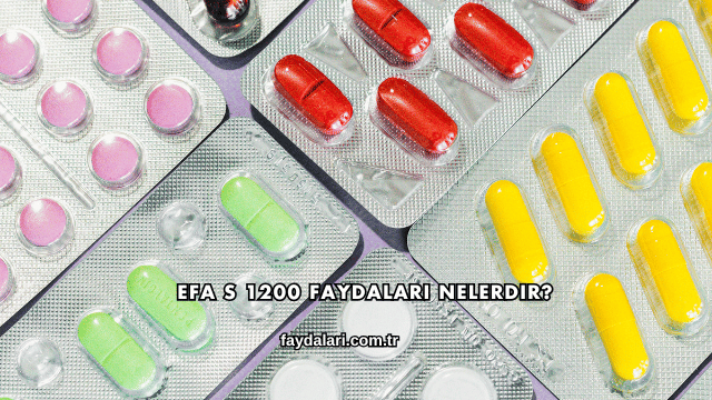 Efa S 1200 Faydaları Nelerdir?