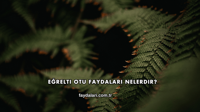 Eğrelti Otu Faydaları Nelerdir?