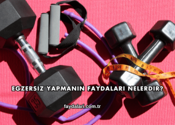 Egzersiz Yapmanın Faydaları Nelerdir?