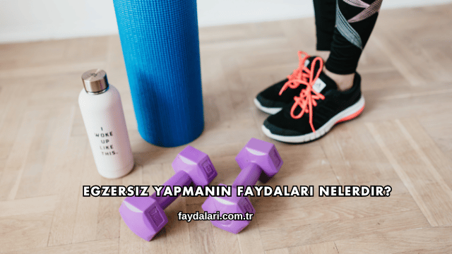 Egzersiz Yapmanın Faydaları Nelerdir?