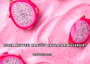 Ejder Meyvesi Kabuğu Faydaları Nelerdir?