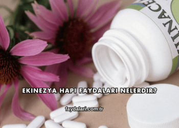 Ekinezya Hapı Faydaları Nelerdir?