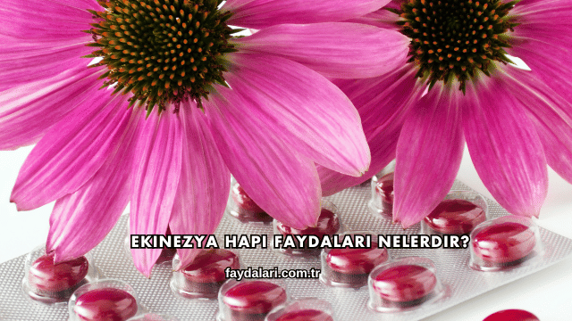 Ekinezya Hapı Faydaları Nelerdir?
