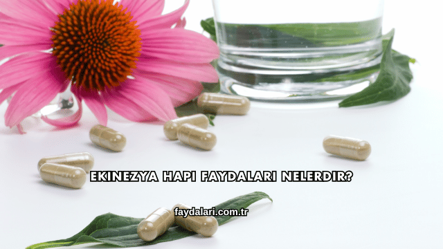 Ekinezya Hapı Faydaları Nelerdir?