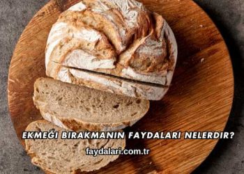 Ekmeği Bırakmanın Faydaları Nelerdir?