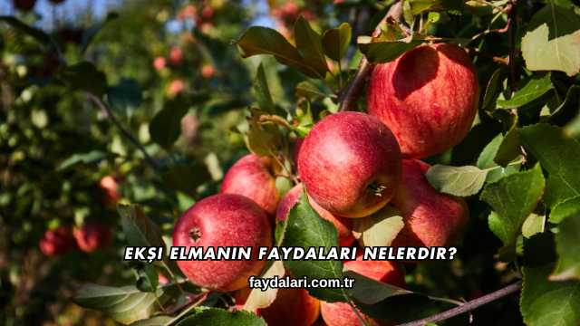 Ekşi Elmanın Faydaları Nelerdir?