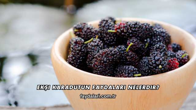 Ekşi Karadutun Faydaları Nelerdir?