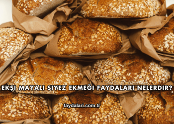 Ekşi Mayalı Siyez Ekmeği Faydaları Nelerdir?