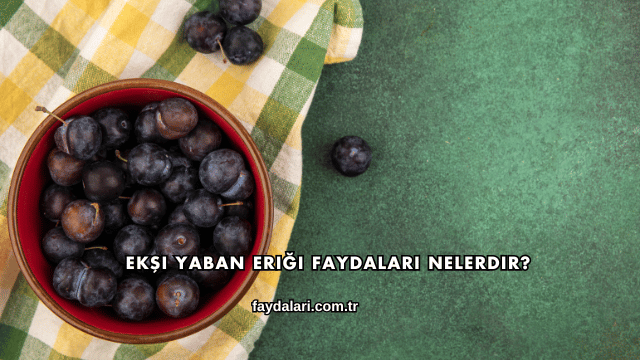 Ekşi Yaban Eriği Faydaları Nelerdir?