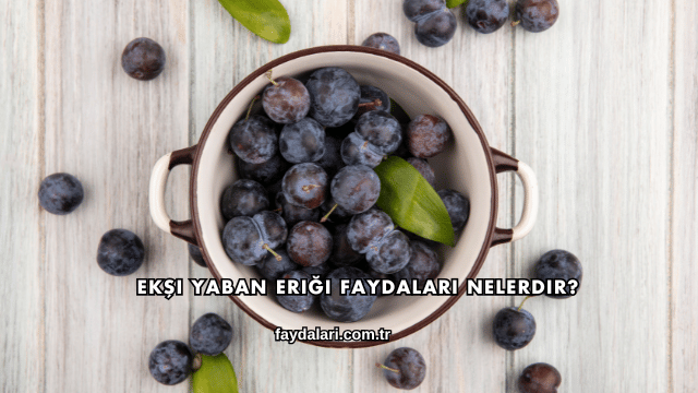 Ekşi Yaban Eriği Faydaları Nelerdir?