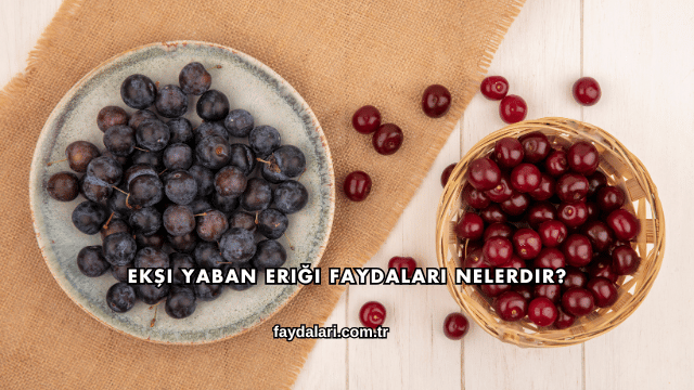 Ekşi Yaban Eriği Faydaları Nelerdir?
