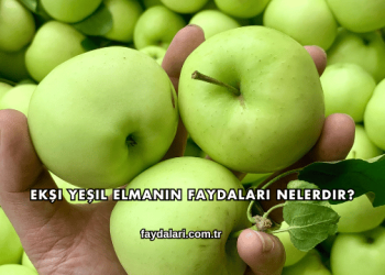 Ekşi Yeşil Elmanın Faydaları Nelerdir?