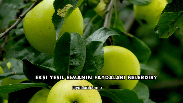 Ekşi Yeşil Elmanın Faydaları Nelerdir?