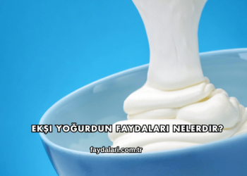 Ekşi Yoğurdun Faydaları Nelerdir?