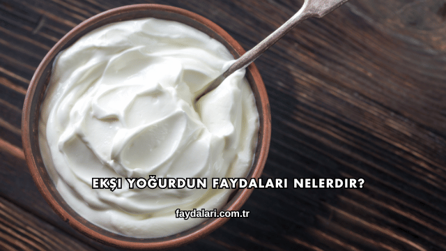 Ekşi Yoğurdun Faydaları Nelerdir?