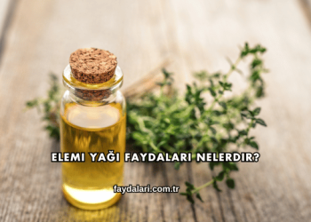 Elemi Yağı Faydaları Nelerdir?