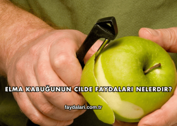Elma Kabuğunun Cilde Faydaları Nelerdir?