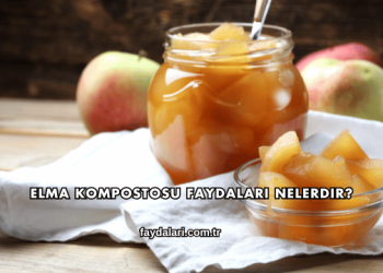 Elma Kompostosu Faydaları Nelerdir?