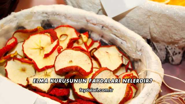 Elma Kurusunun Faydaları Nelerdir?