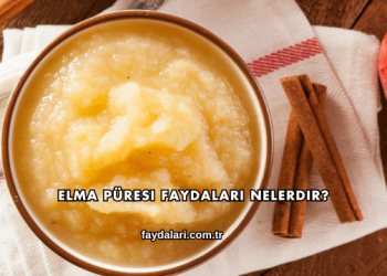 Elma Püresi Faydaları Nelerdir?