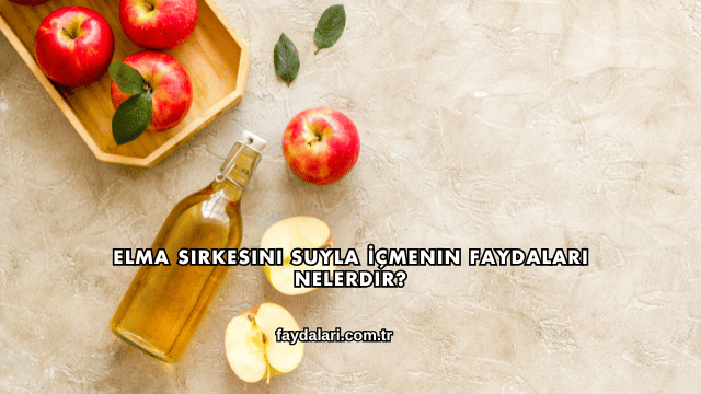 Elma Sirkesini Suyla İçmenin Faydaları Nelerdir?