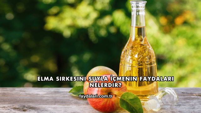 Elma Sirkesini Suyla İçmenin Faydaları Nelerdir?
