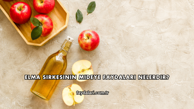 Elma Sirkesinin Mideye Faydaları Nelerdir?