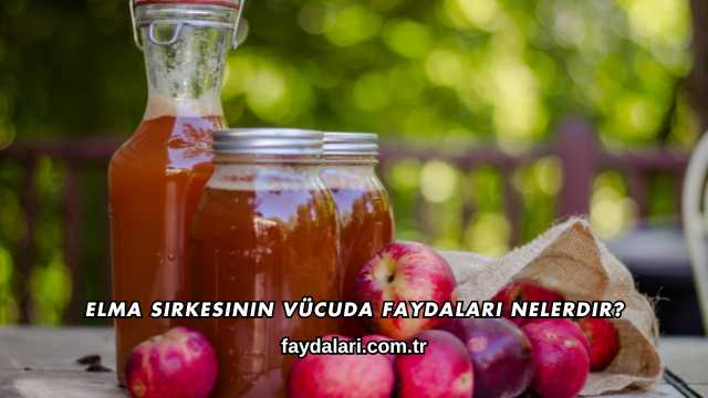Elma Sirkesinin Vücuda Faydaları Nelerdir?