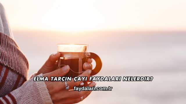 Elma Tarçın Çayı Faydaları Nelerdir?