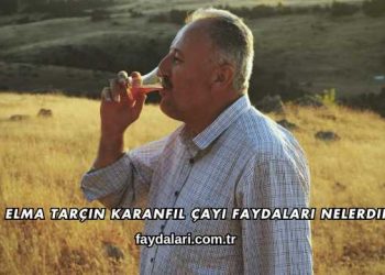 Elma Tarçın Karanfil Çayı Faydaları Nelerdir?