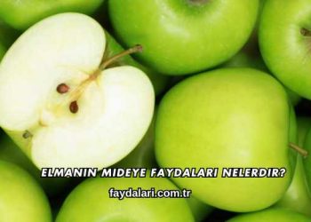 Elmanın Mideye Faydaları Nelerdir?