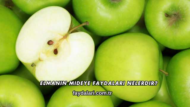 Elmanın Mideye Faydaları Nelerdir?