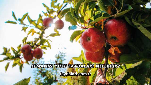 Elmanın Yüze Faydaları Nelerdir?
