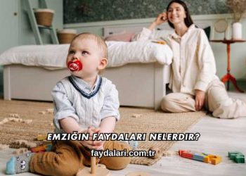 Emziğin Faydaları Nelerdir?