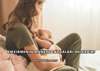 Emzirmenin Anneye Faydaları Nelerdir?