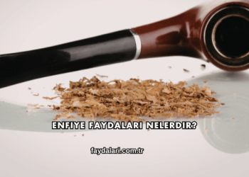 Enfiye Faydaları Nelerdir?