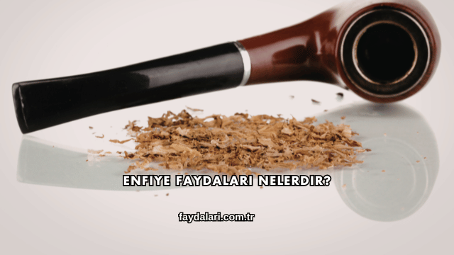 Enfiye Faydaları Nelerdir?