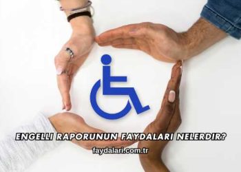 Engelli Raporunun Faydaları Nelerdir?
