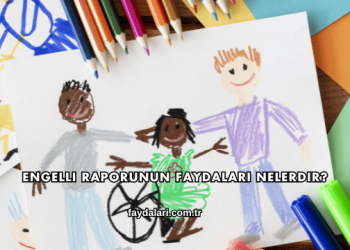 Engelli Raporunun Faydaları Nelerdir?