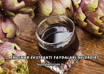 Enginar Ekstraktı Faydaları Nelerdir?
