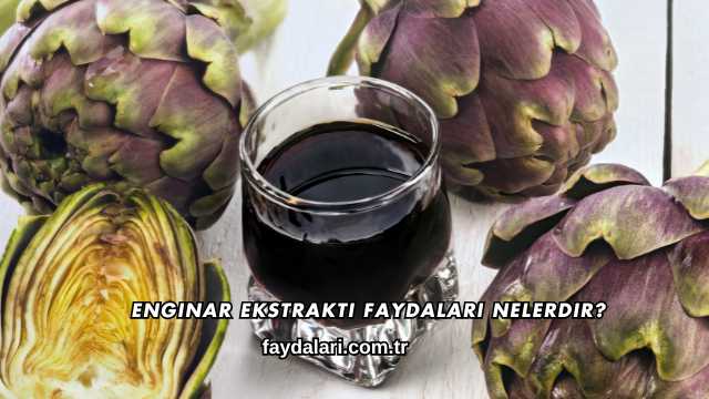 Enginar Ekstraktı Faydaları Nelerdir?
