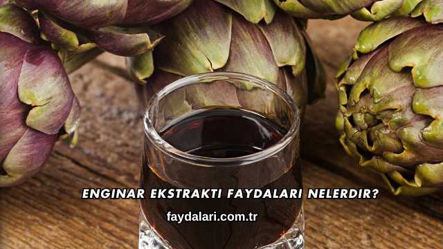 Enginar Ekstraktı Faydaları Nelerdir?