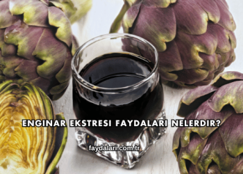 Enginar Ekstresi Faydaları Nelerdir?