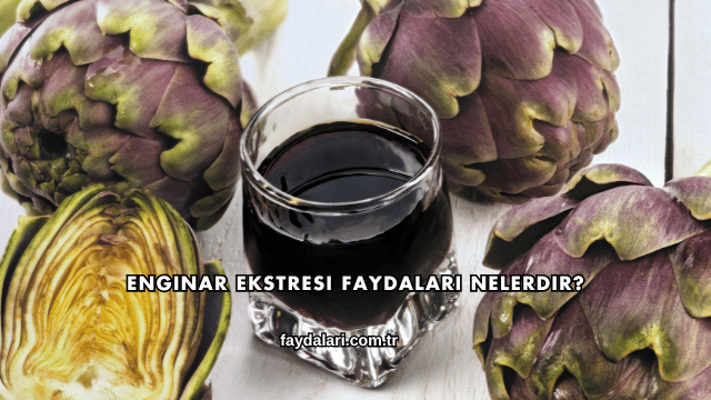 Enginar Ekstresi Faydaları Nelerdir?
