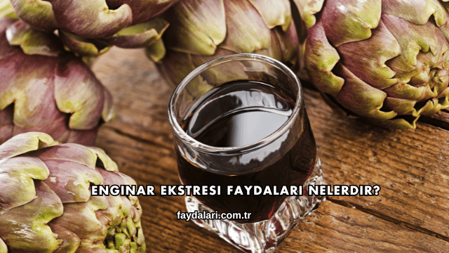 Enginar Ekstresi Faydaları Nelerdir?